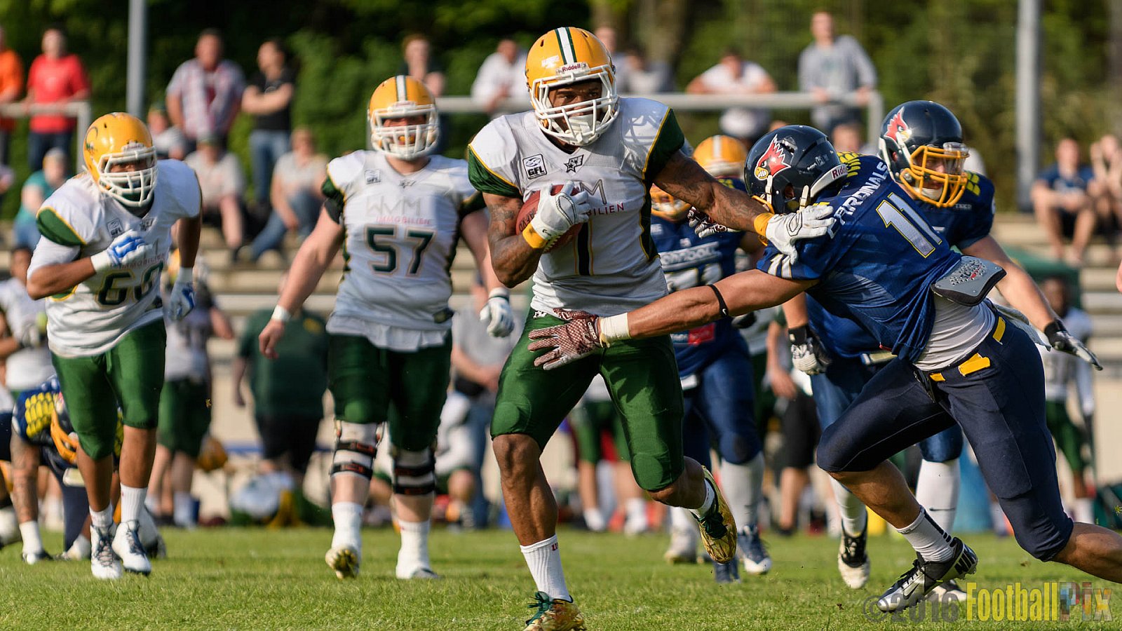 Essen Assindia Cardinals vs. Cologne Crocodiles - 21.05.2016 GFL2: Essen Assindia Cardinals vs. Cologne Crocodiles (0:17)
