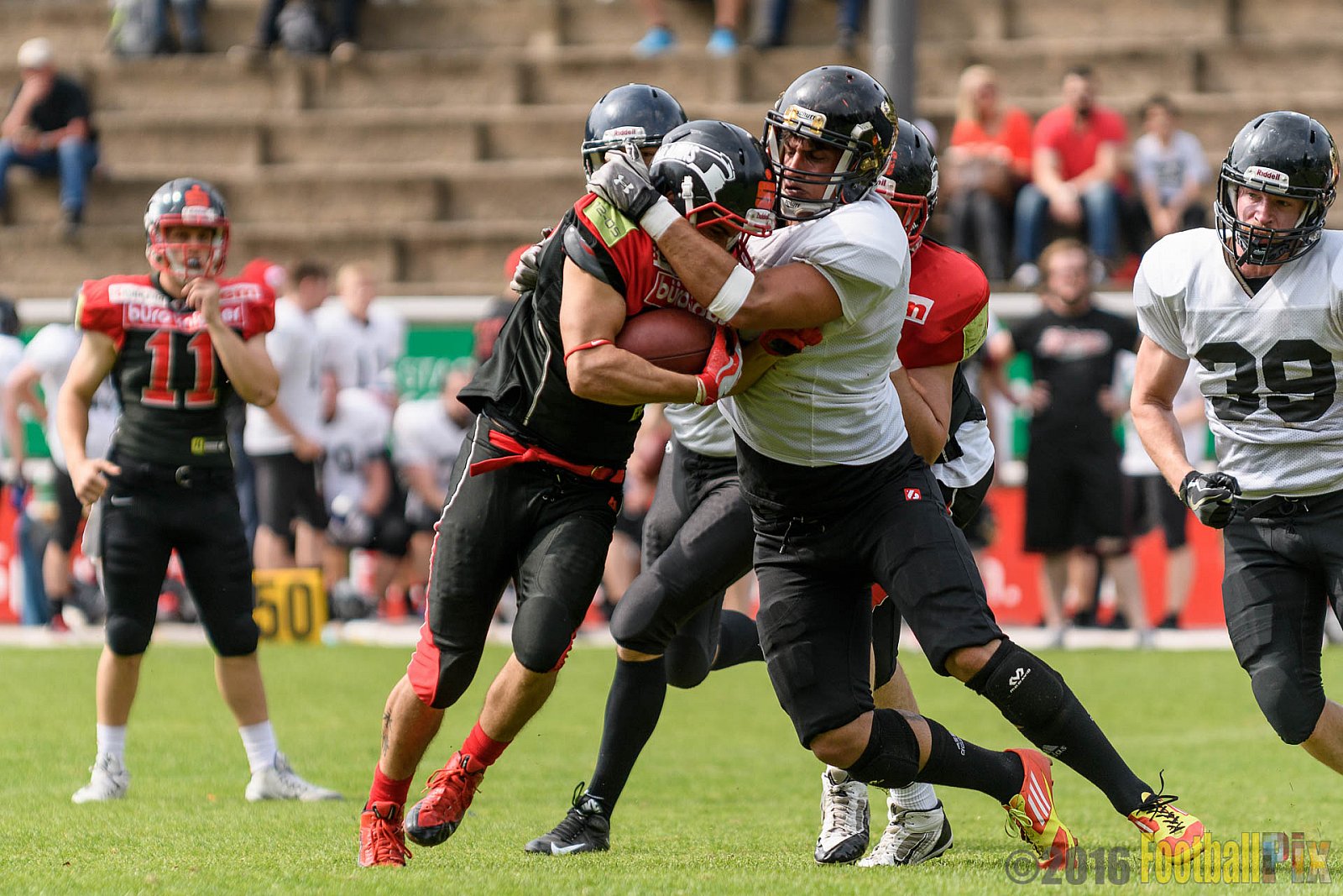 Solingen Paladins vs. Cologne Falcons - 28.05.2016 RL NRW: Solingen Paladins vs. Cologne Falcons (21:7)
