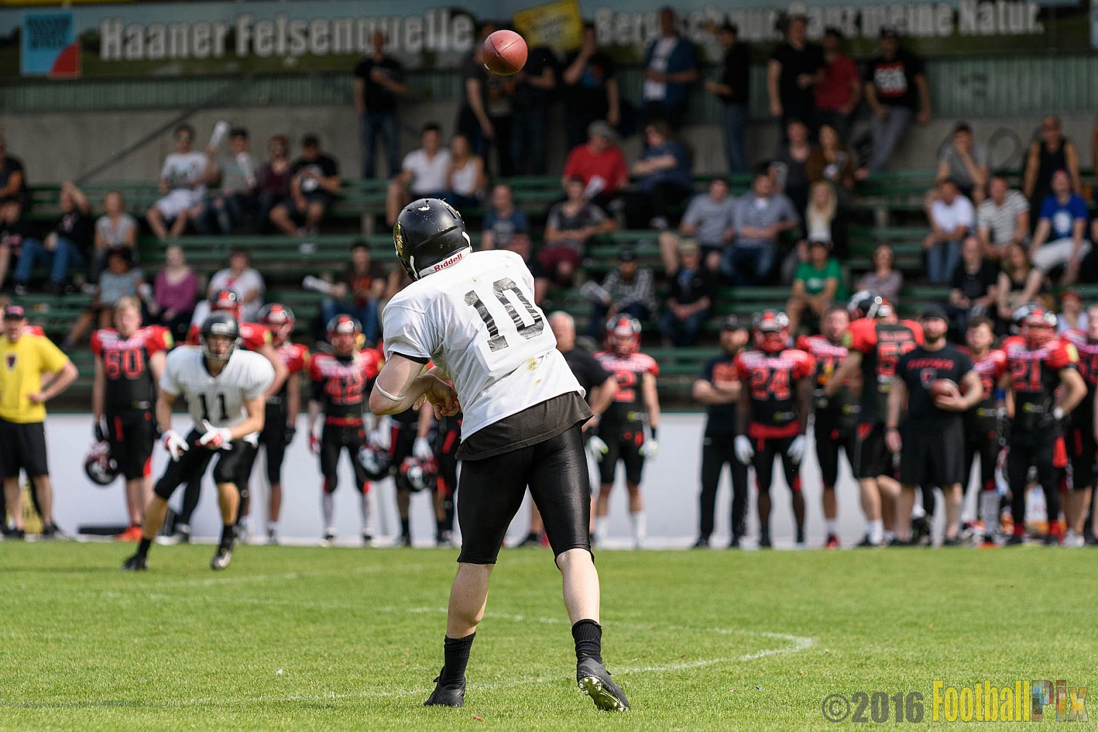 Solingen Paladins vs. Cologne Falcons - 28.05.2016 RL NRW: Solingen Paladins vs. Cologne Falcons (21:7)
