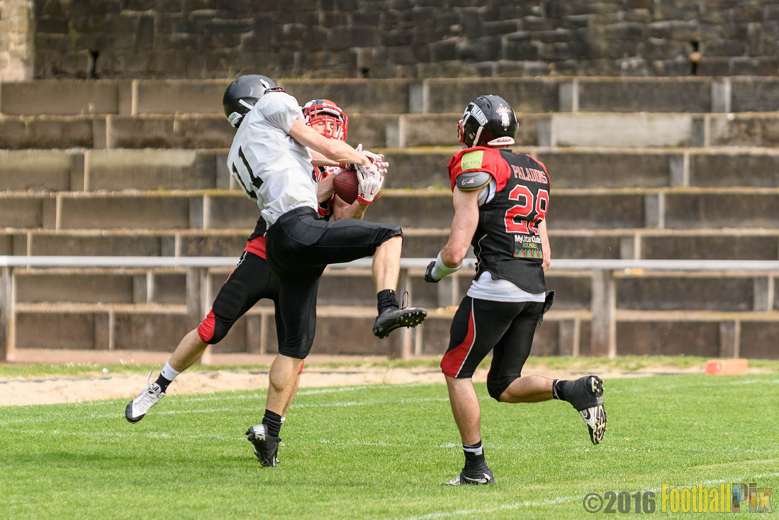Solingen Paladins vs. Cologne Falcons - 28.05.2016 RL NRW: Solingen Paladins vs. Cologne Falcons (21:7)