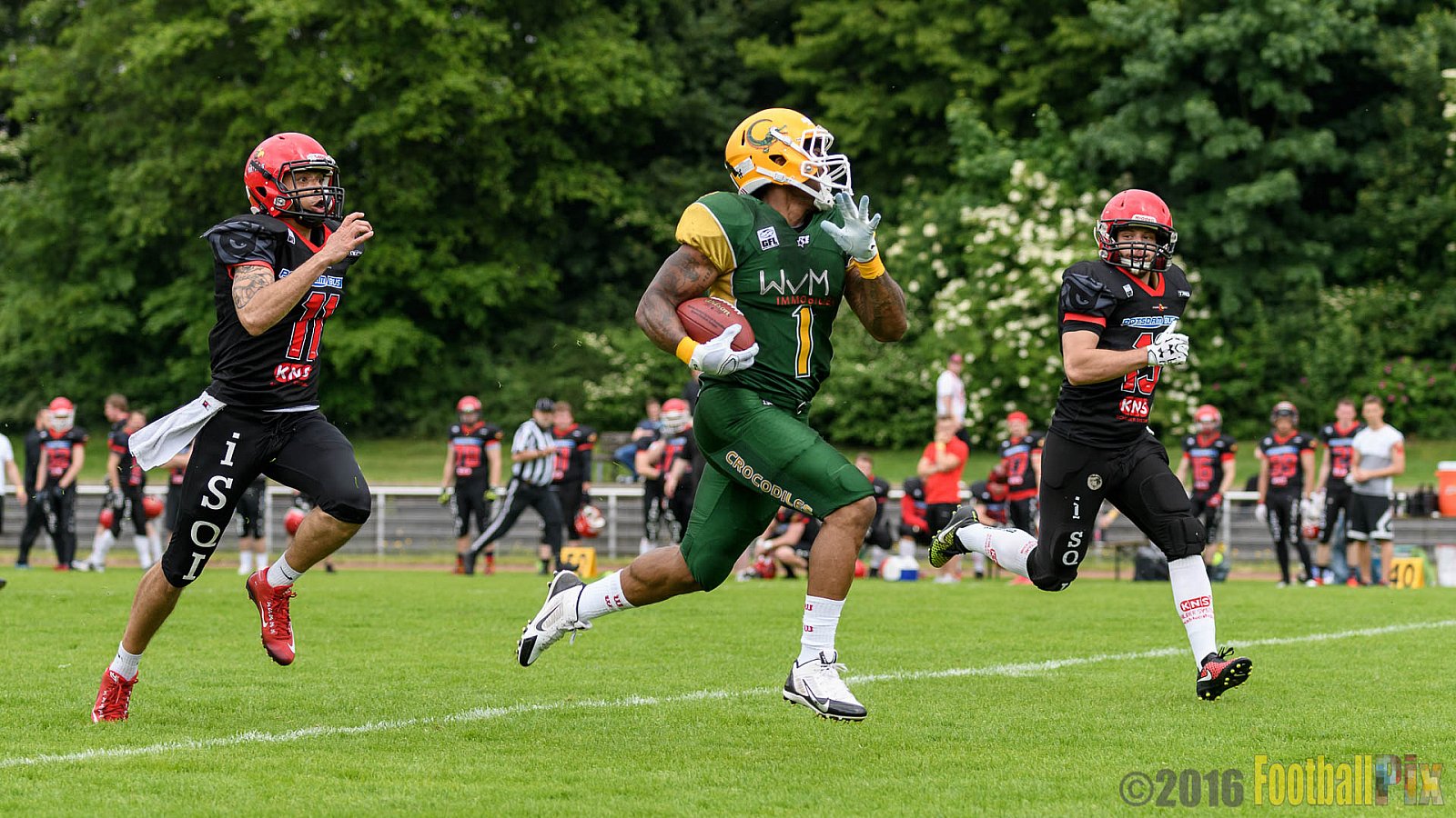Cologne Crocodiles vs. Potsdam Royals - 29.05.2016 GFL2: Cologne Crocodiles vs. Potsdam Royals (37:19)