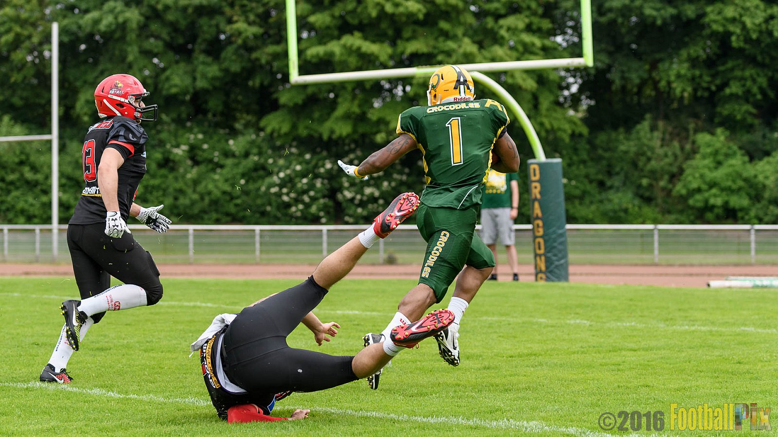 Cologne Crocodiles vs. Potsdam Royals - 29.05.2016 GFL2: Cologne Crocodiles vs. Potsdam Royals (37:19)