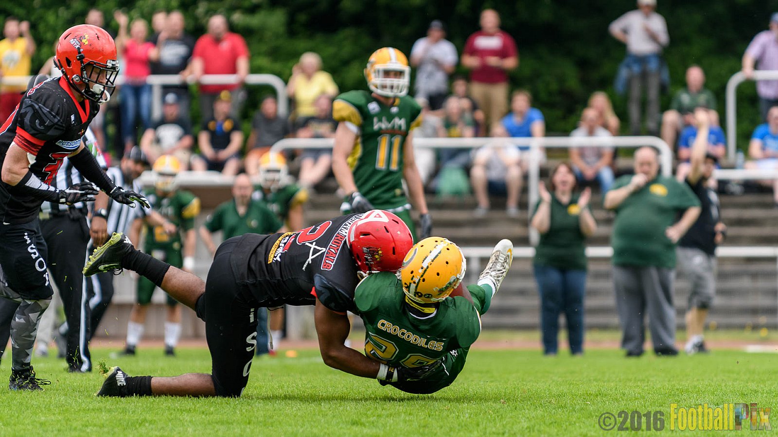 Cologne Crocodiles vs. Potsdam Royals - 29.05.2016 GFL2: Cologne Crocodiles vs. Potsdam Royals (37:19)