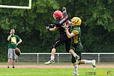 Cologne Crocodiles vs. Potsdam Royals - 29.05.2016 GFL2: Cologne Crocodiles vs. Potsdam Royals (37:19)