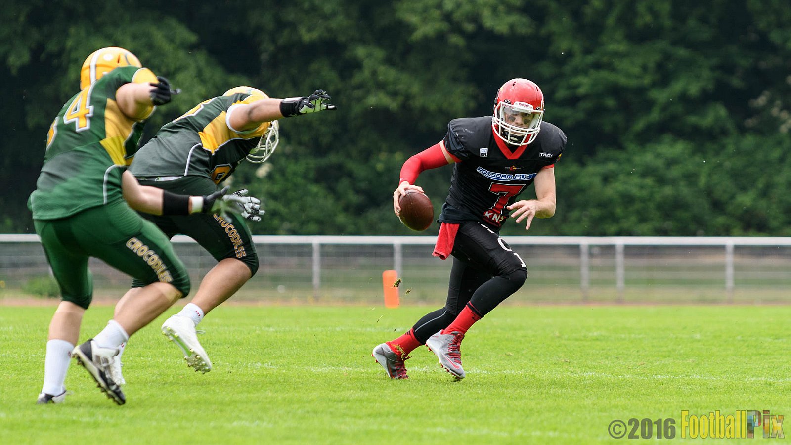 Cologne Crocodiles vs. Potsdam Royals - 29.05.2016 GFL2: Cologne Crocodiles vs. Potsdam Royals (37:19)