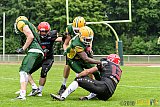 Cologne Crocodiles vs. Potsdam Royals - 29.05.2016 GFL2: Cologne Crocodiles vs. Potsdam Royals (37:19)