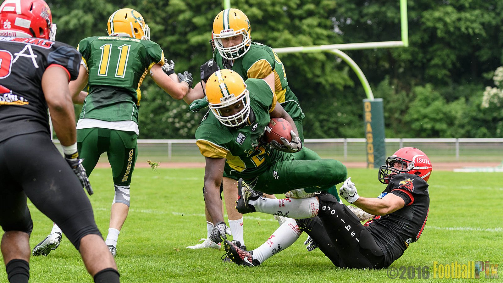 Cologne Crocodiles vs. Potsdam Royals - 29.05.2016 GFL2: Cologne Crocodiles vs. Potsdam Royals (37:19)