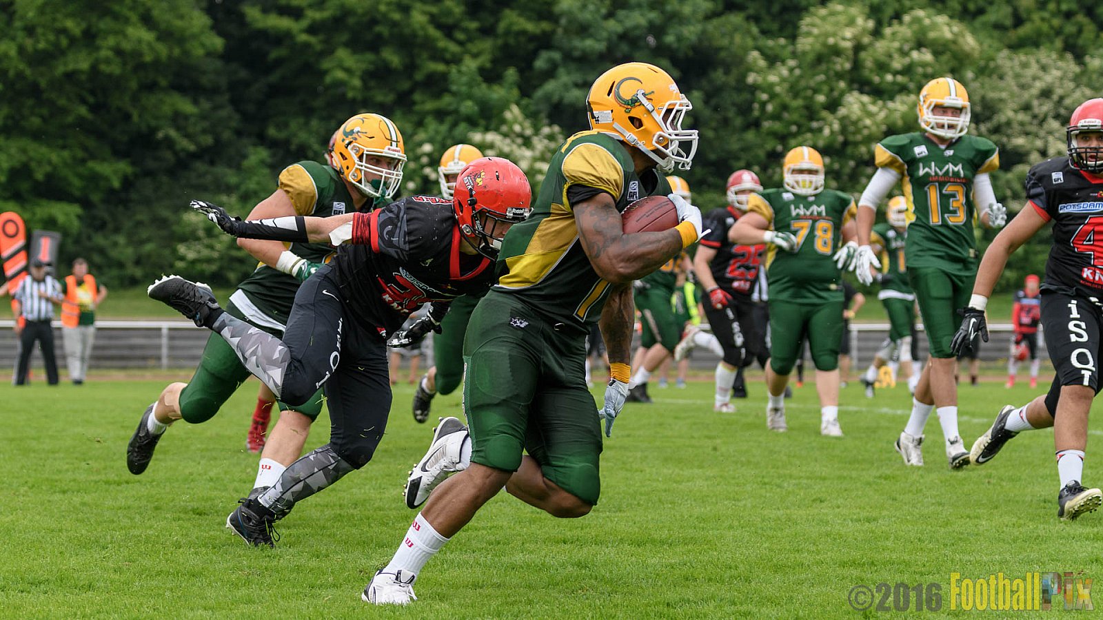 Cologne Crocodiles vs. Potsdam Royals - 29.05.2016 GFL2: Cologne Crocodiles vs. Potsdam Royals (37:19)