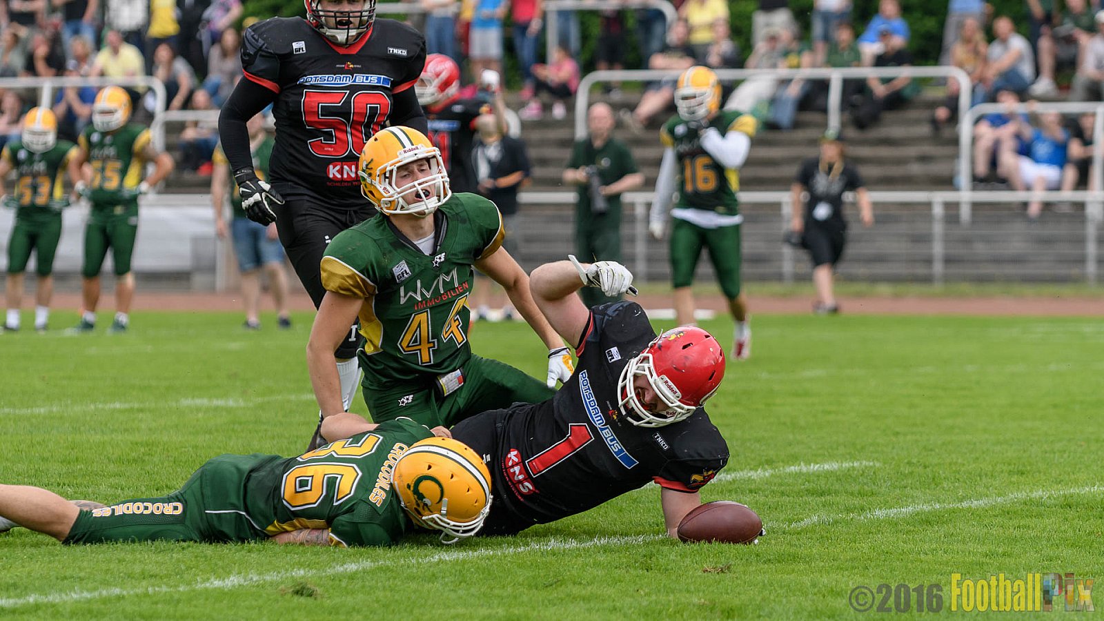 Cologne Crocodiles vs. Potsdam Royals - 29.05.2016 GFL2: Cologne Crocodiles vs. Potsdam Royals (37:19)