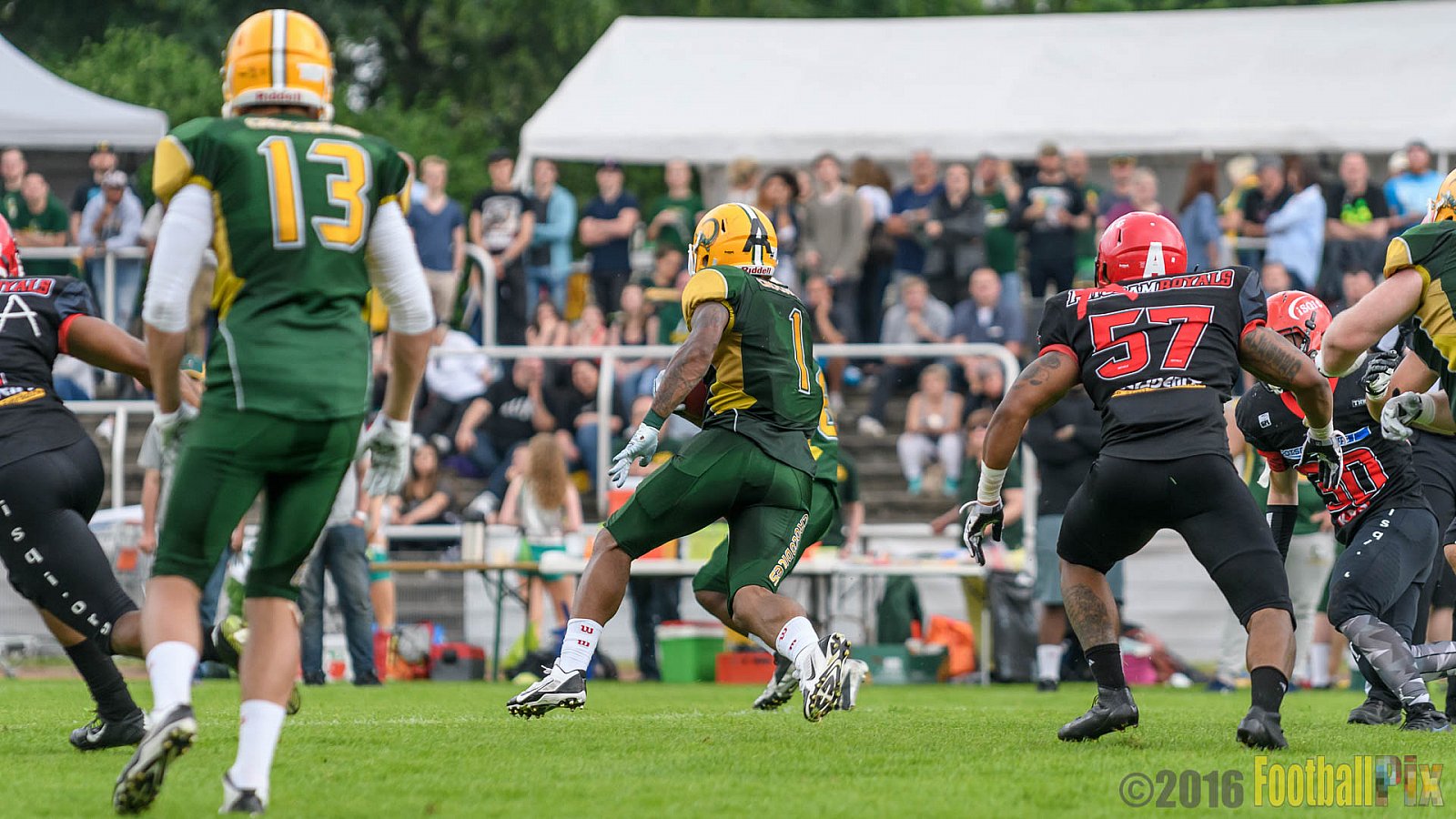 Cologne Crocodiles vs. Potsdam Royals - 29.05.2016 GFL2: Cologne Crocodiles vs. Potsdam Royals (37:19)