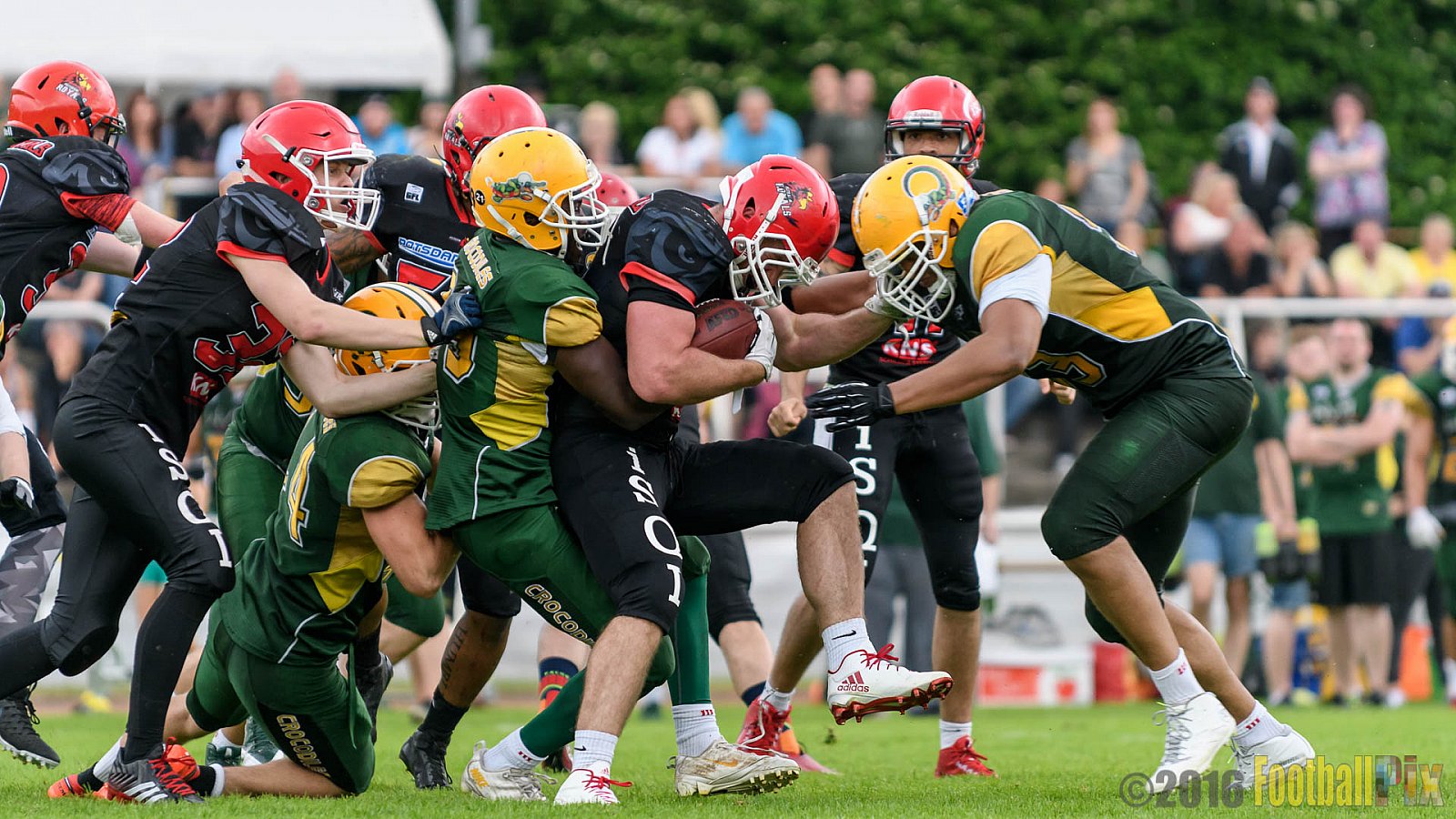 Cologne Crocodiles vs. Potsdam Royals - 29.05.2016 GFL2: Cologne Crocodiles vs. Potsdam Royals (37:19)