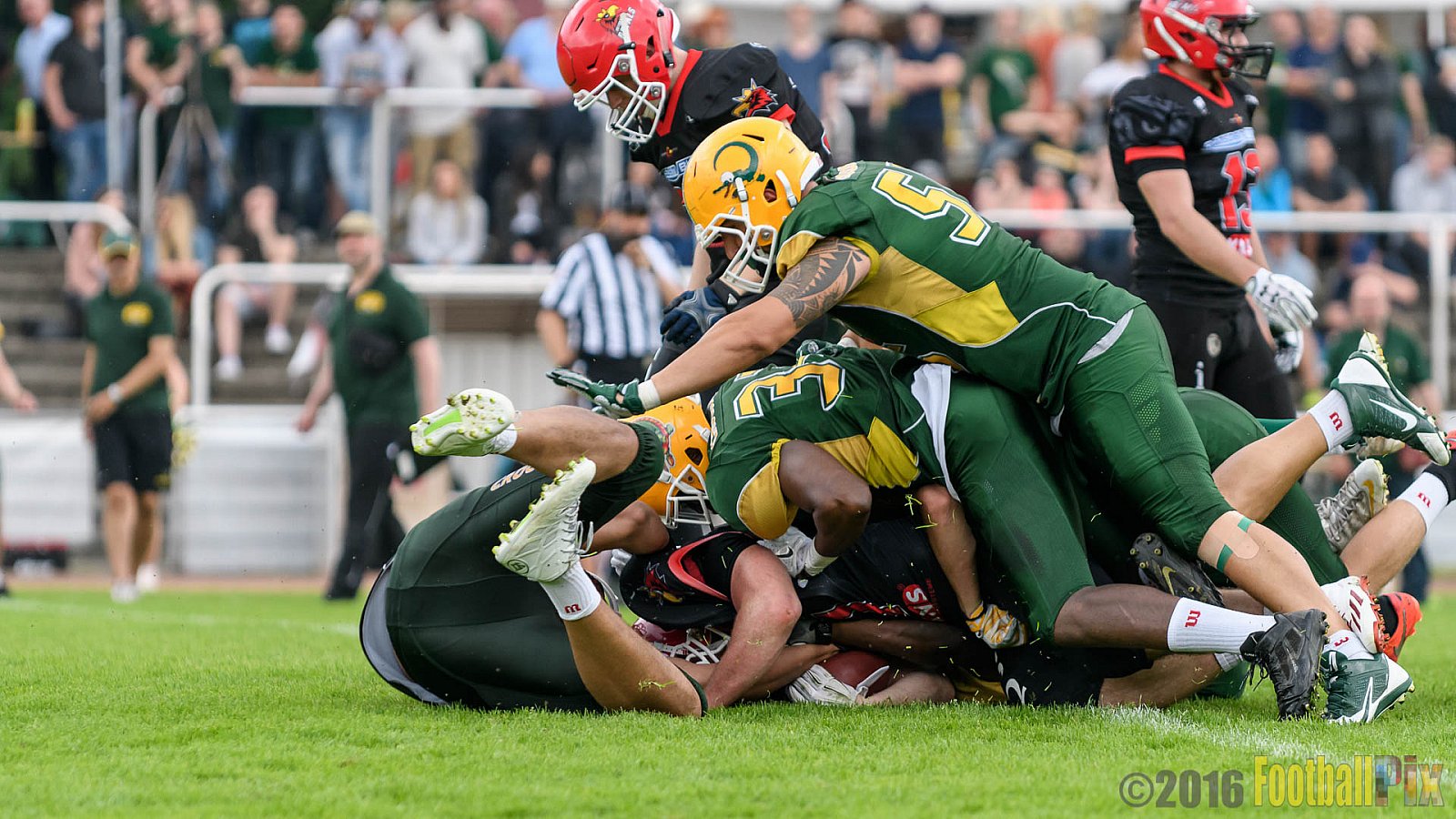 Cologne Crocodiles vs. Potsdam Royals - 29.05.2016 GFL2: Cologne Crocodiles vs. Potsdam Royals (37:19)
