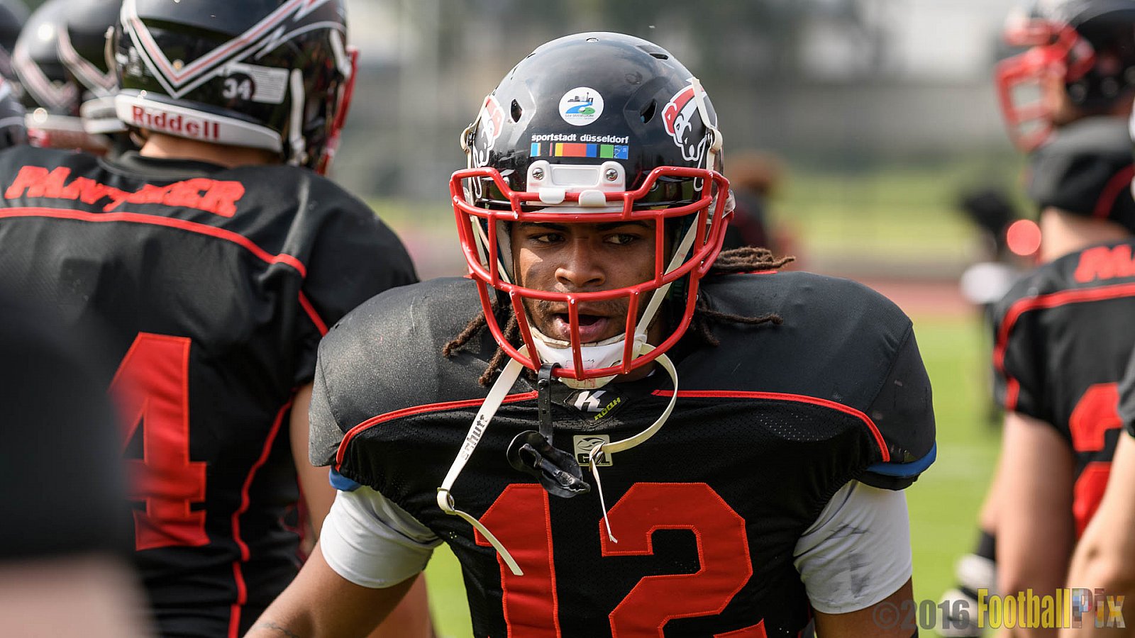 Düsseldorf Panther vs. Hamburg Huskies - 04.06.2016 GFL Nord: Düsseldorf Panther vs. Hamburg Huskies (20:31)