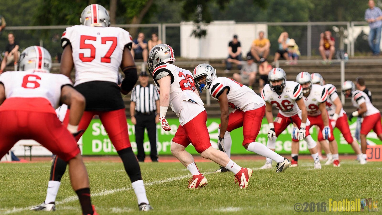 Düsseldorf Panther vs. Hamburg Huskies - 04.06.2016 GFL Nord: Düsseldorf Panther vs. Hamburg Huskies (20:31)