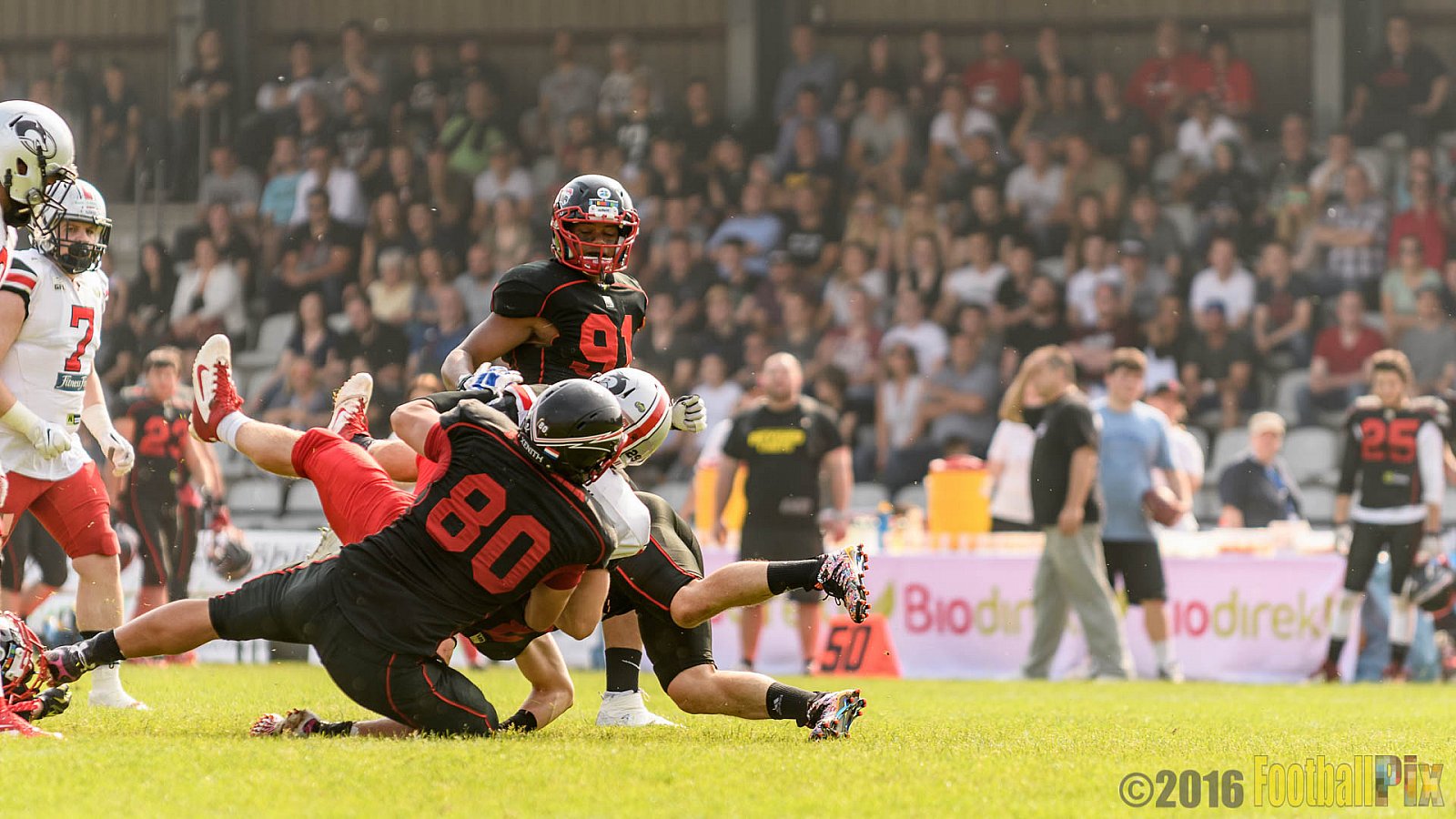 Düsseldorf Panther vs. Hamburg Huskies - 04.06.2016 GFL Nord: Düsseldorf Panther vs. Hamburg Huskies (20:31)