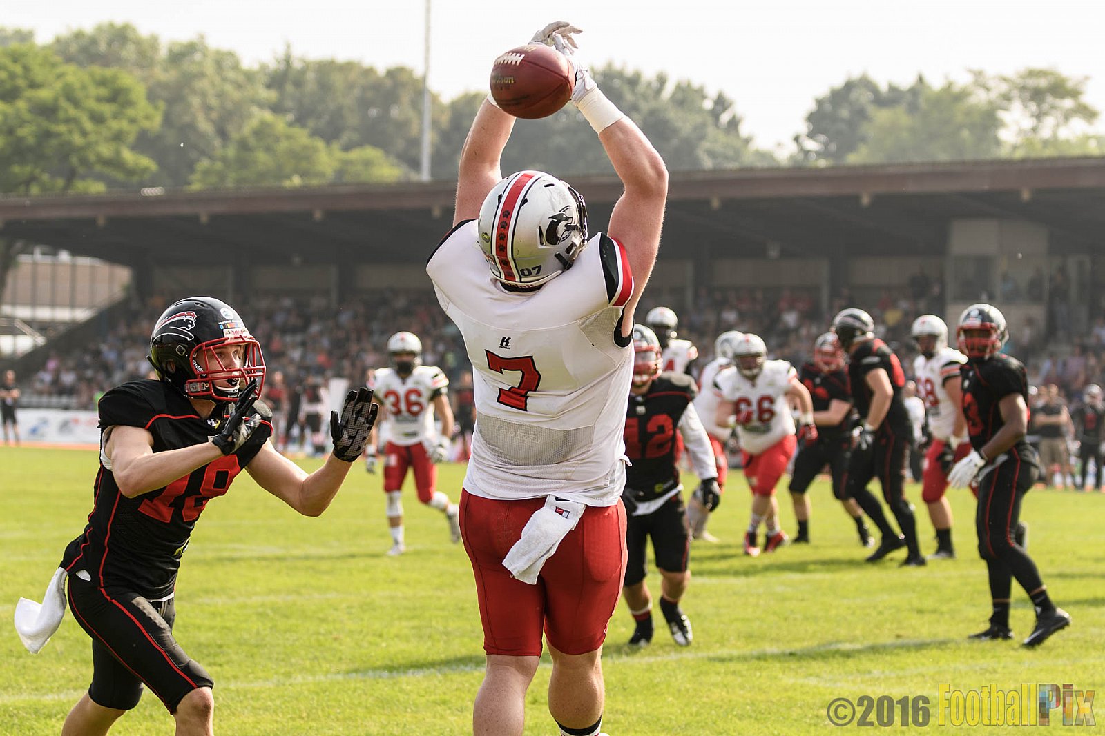 Düsseldorf Panther vs. Hamburg Huskies - 04.06.2016 GFL Nord: Düsseldorf Panther vs. Hamburg Huskies (20:31)