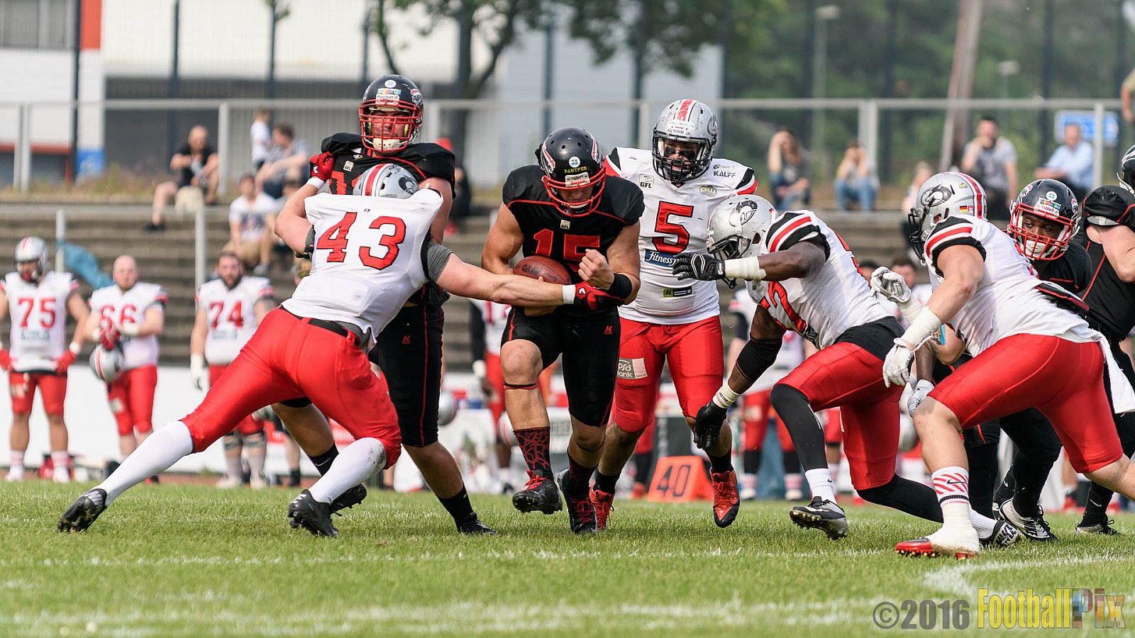 Düsseldorf Panther vs. Hamburg Huskies - 04.06.2016 GFL Nord: Düsseldorf Panther vs. Hamburg Huskies (20:31)