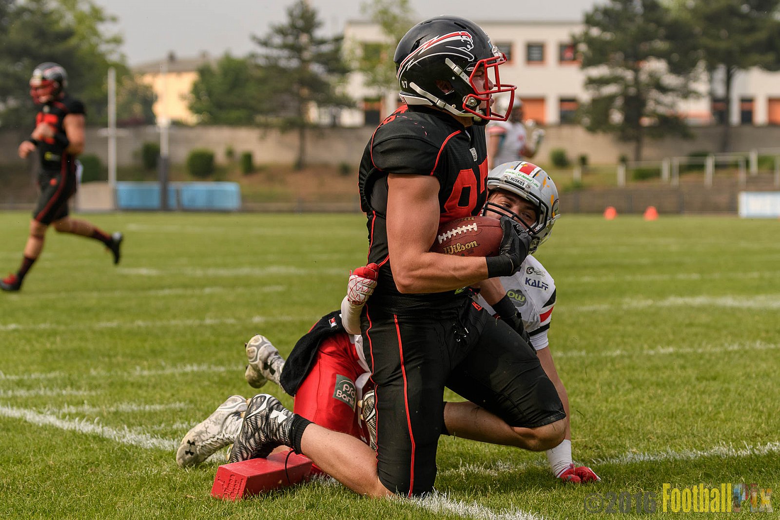 Düsseldorf Panther vs. Hamburg Huskies - 04.06.2016 GFL Nord: Düsseldorf Panther vs. Hamburg Huskies (20:31)