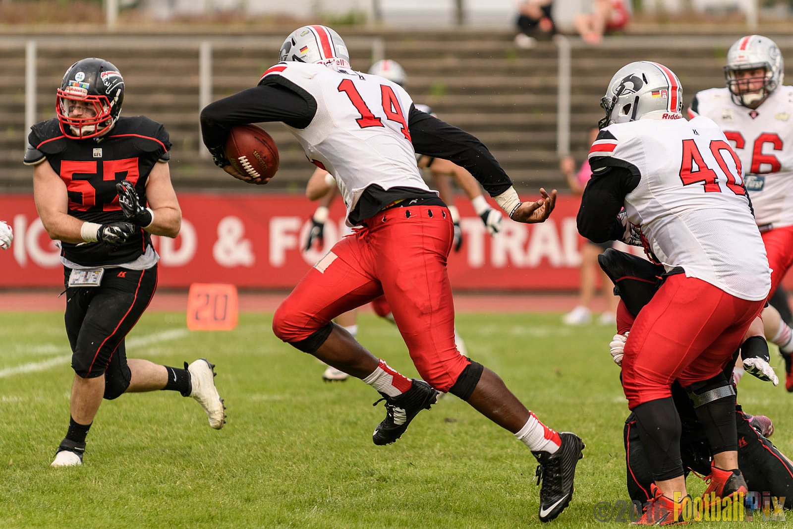 Düsseldorf Panther vs. Hamburg Huskies - 04.06.2016 GFL Nord: Düsseldorf Panther vs. Hamburg Huskies (20:31)