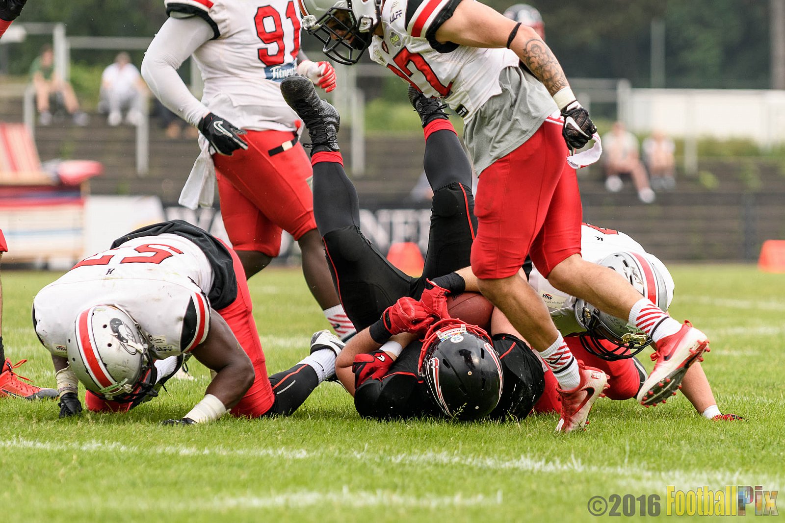 Düsseldorf Panther vs. Hamburg Huskies - 04.06.2016 GFL Nord: Düsseldorf Panther vs. Hamburg Huskies (20:31)