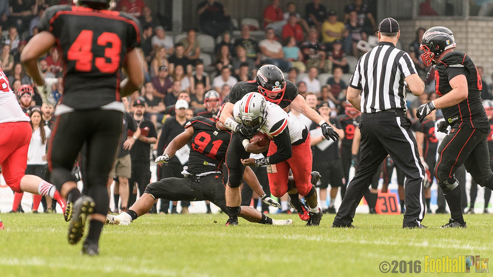 Düsseldorf Panther vs. Hamburg Huskies - 04.06.2016 GFL Nord: Düsseldorf Panther vs. Hamburg Huskies (20:31)