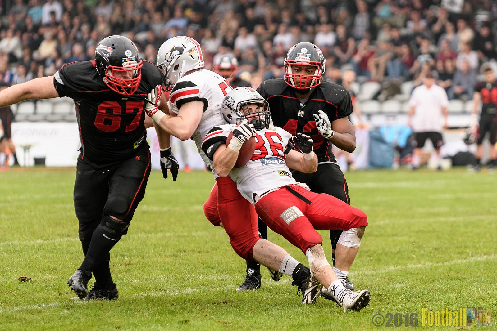 Düsseldorf Panther vs. Hamburg Huskies - 04.06.2016 GFL Nord: Düsseldorf Panther vs. Hamburg Huskies (20:31)