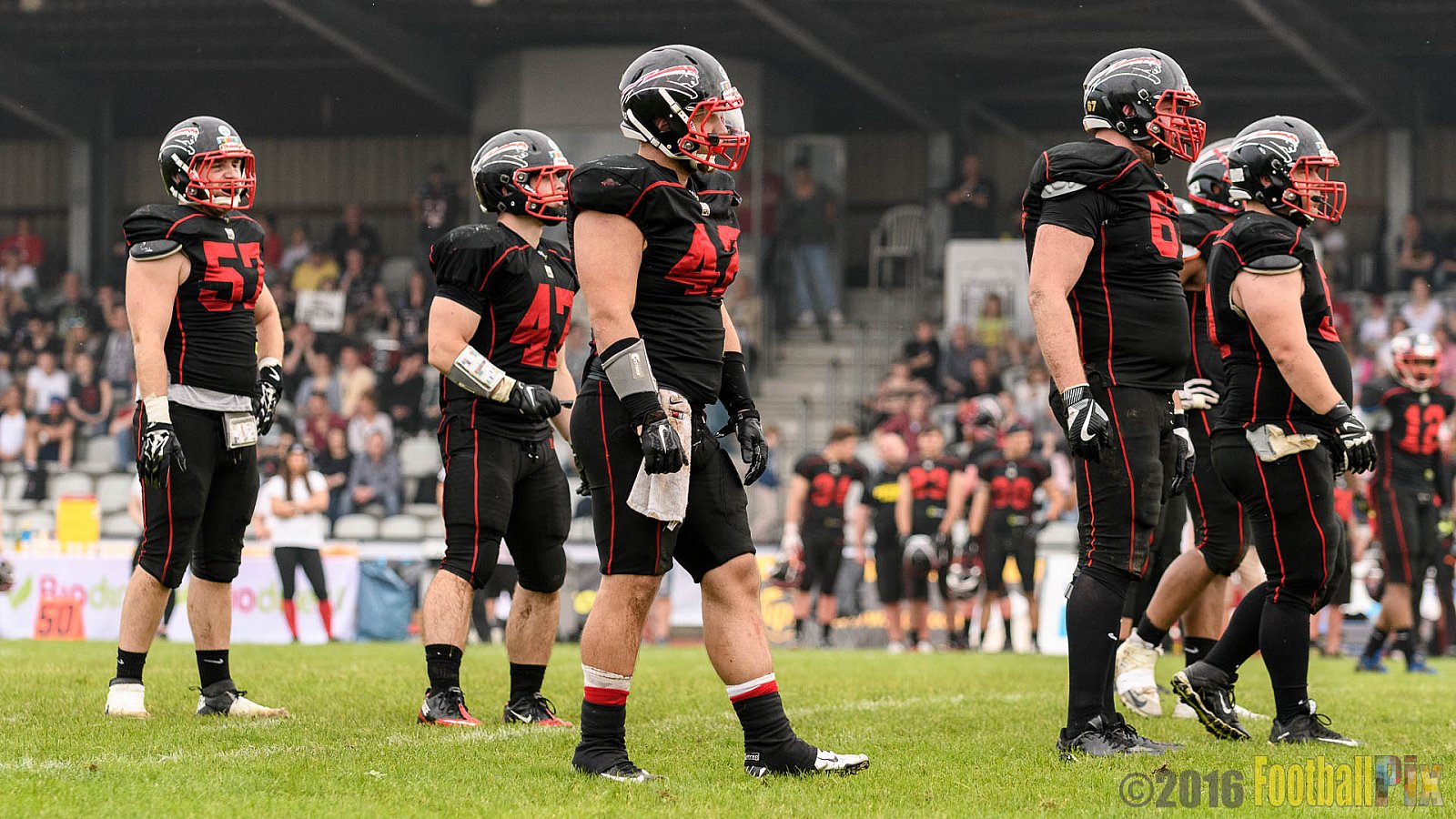 Düsseldorf Panther vs. Hamburg Huskies - 04.06.2016 GFL Nord: Düsseldorf Panther vs. Hamburg Huskies (20:31)