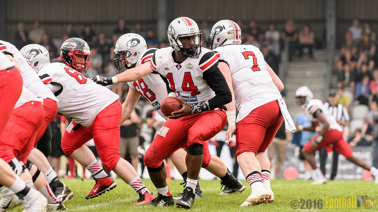 Düsseldorf Panther vs. Hamburg Huskies - 04.06.2016 GFL Nord: Düsseldorf Panther vs. Hamburg Huskies (20:31)