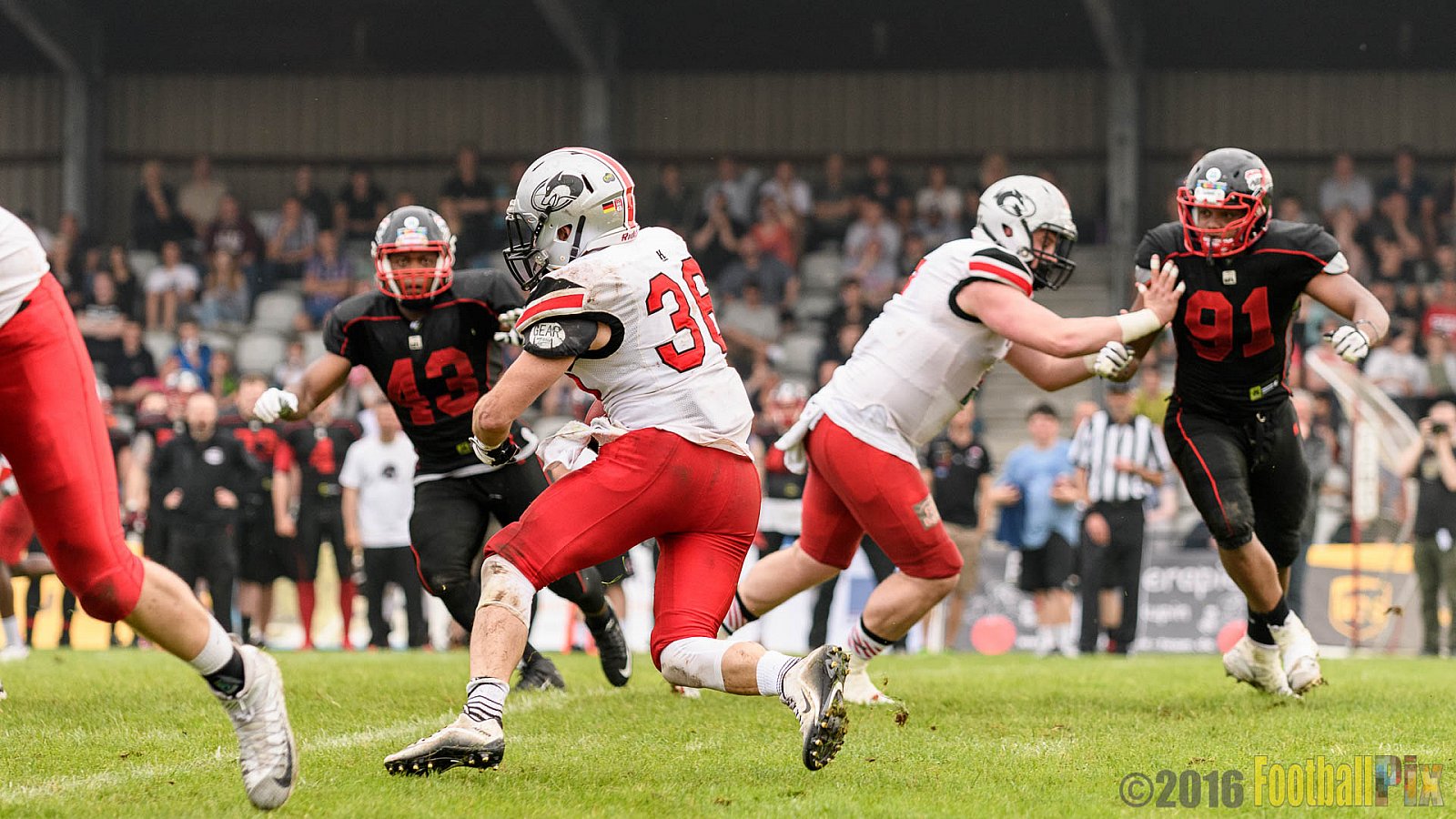 Düsseldorf Panther vs. Hamburg Huskies - 04.06.2016 GFL Nord: Düsseldorf Panther vs. Hamburg Huskies (20:31)