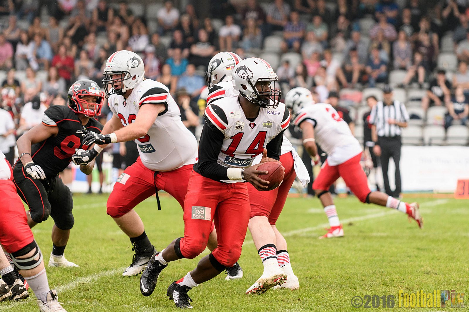 Düsseldorf Panther vs. Hamburg Huskies - 04.06.2016 GFL Nord: Düsseldorf Panther vs. Hamburg Huskies (20:31)