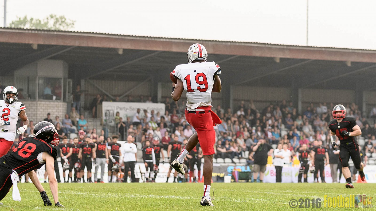 Düsseldorf Panther vs. Hamburg Huskies - 04.06.2016 GFL Nord: Düsseldorf Panther vs. Hamburg Huskies (20:31)
