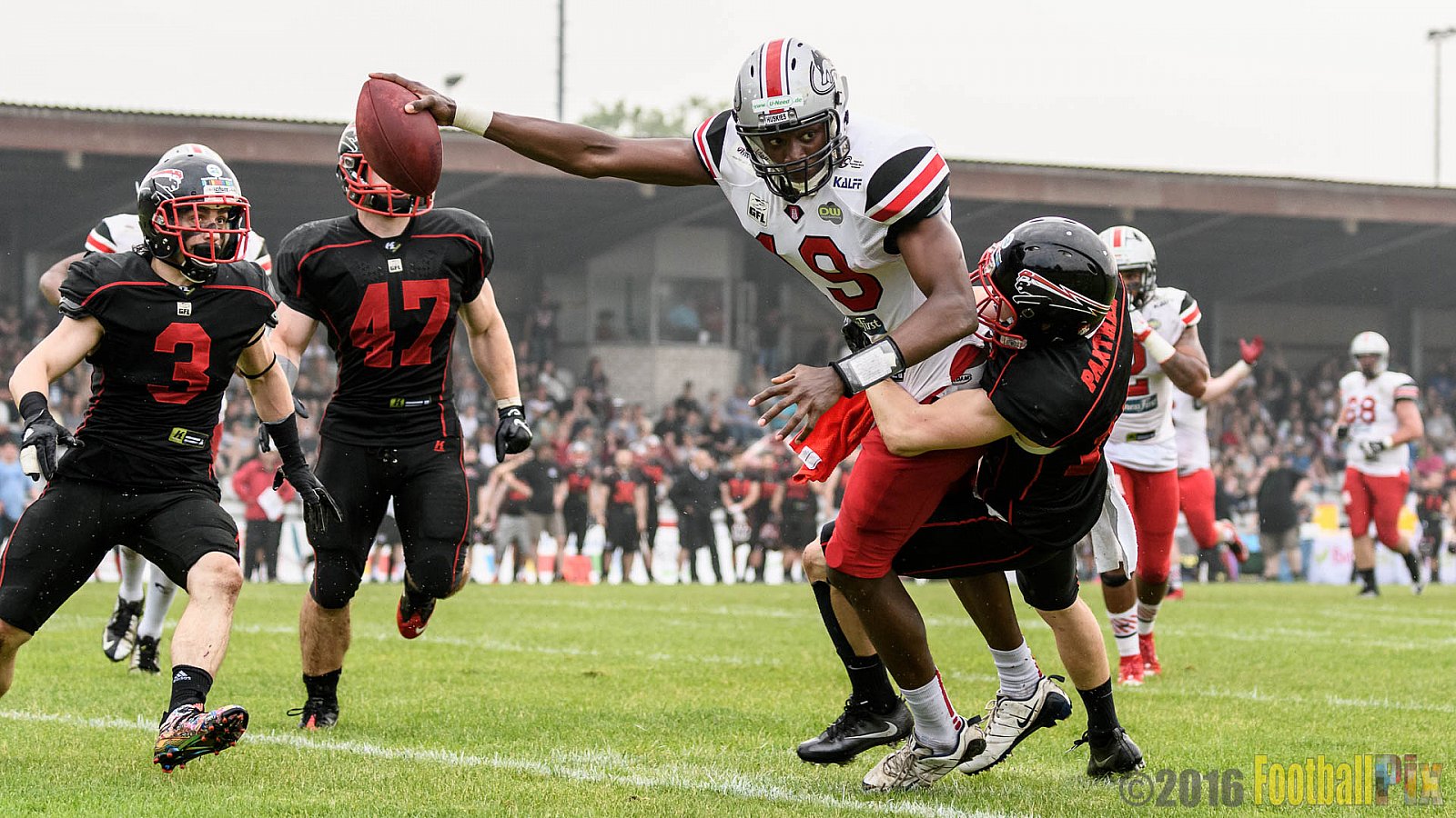 Düsseldorf Panther vs. Hamburg Huskies - 04.06.2016 GFL Nord: Düsseldorf Panther vs. Hamburg Huskies (20:31)