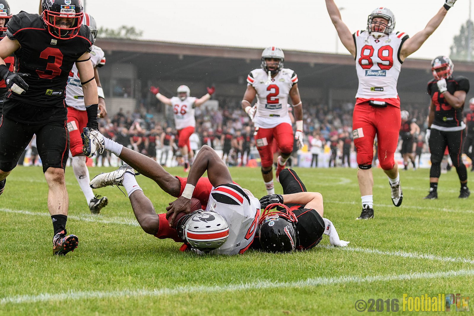 Düsseldorf Panther vs. Hamburg Huskies - 04.06.2016 GFL Nord: Düsseldorf Panther vs. Hamburg Huskies (20:31)