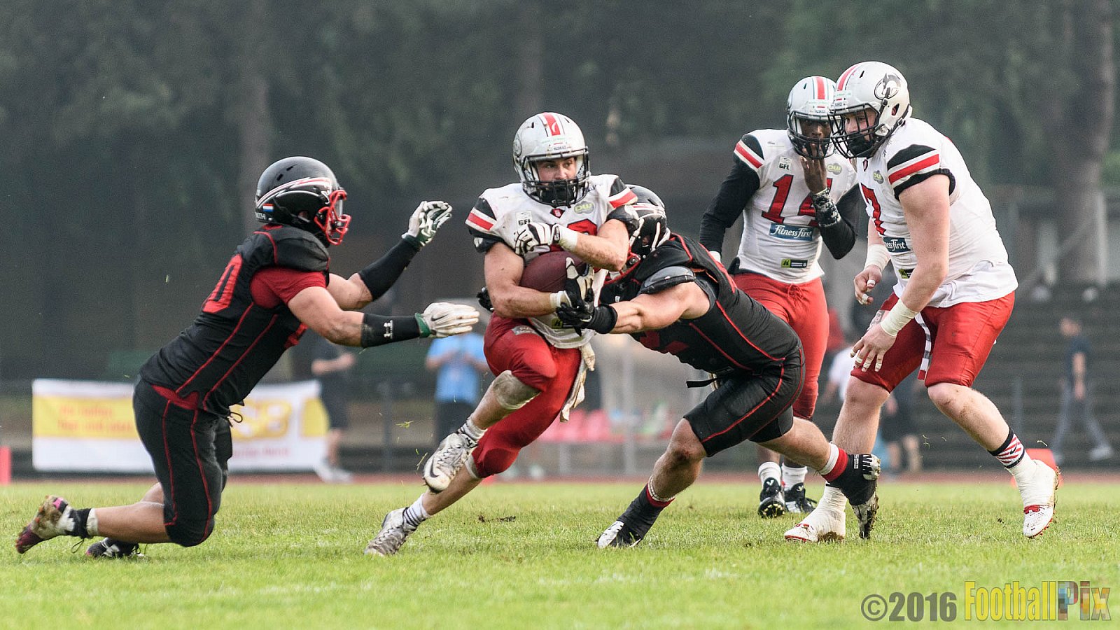 Düsseldorf Panther vs. Hamburg Huskies - 04.06.2016 GFL Nord: Düsseldorf Panther vs. Hamburg Huskies (20:31)