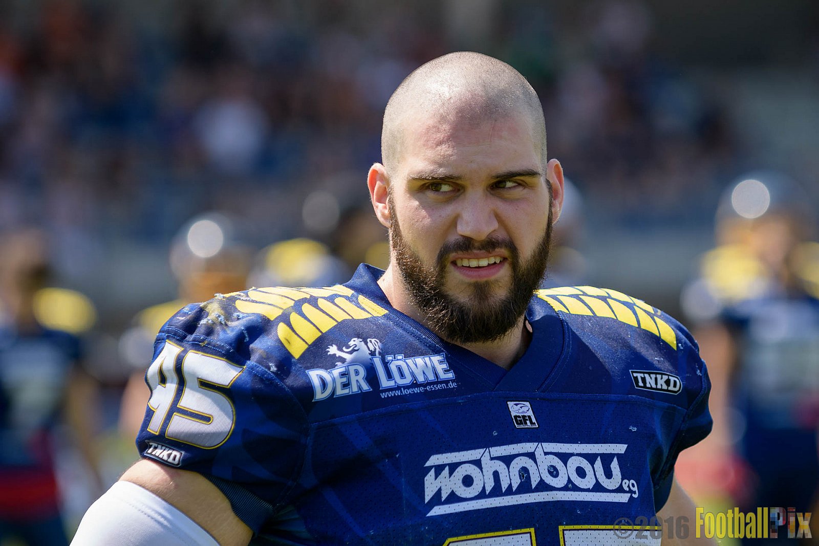Essen Assindia Cardinals vs. Lübeck Cougars - 05.06.2016 GFL2: Essen Assindia Cardinals vs. Lübeck Cougars (16:35)