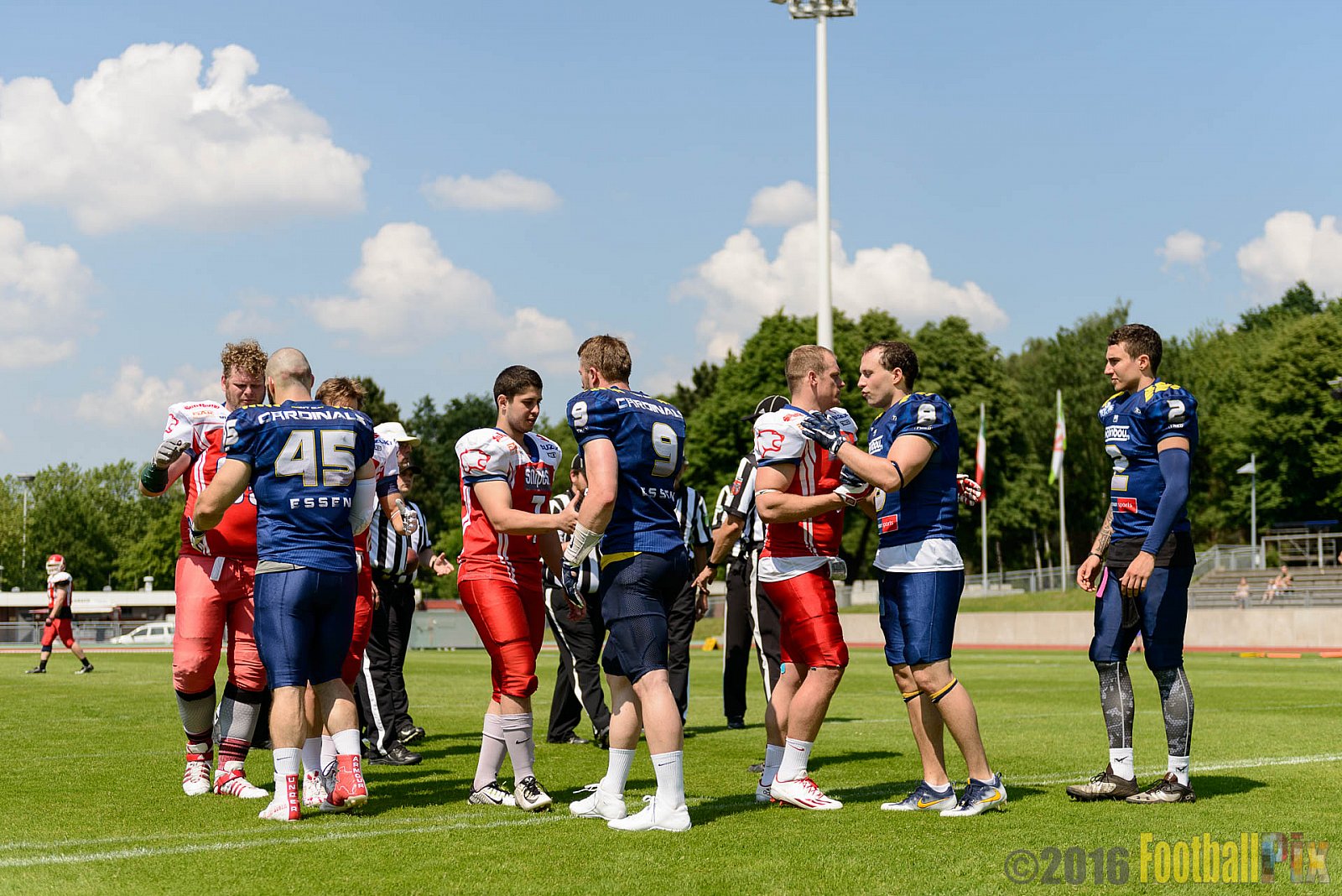Essen Assindia Cardinals vs. Lübeck Cougars - 05.06.2016 GFL2: Essen Assindia Cardinals vs. Lübeck Cougars (16:35)