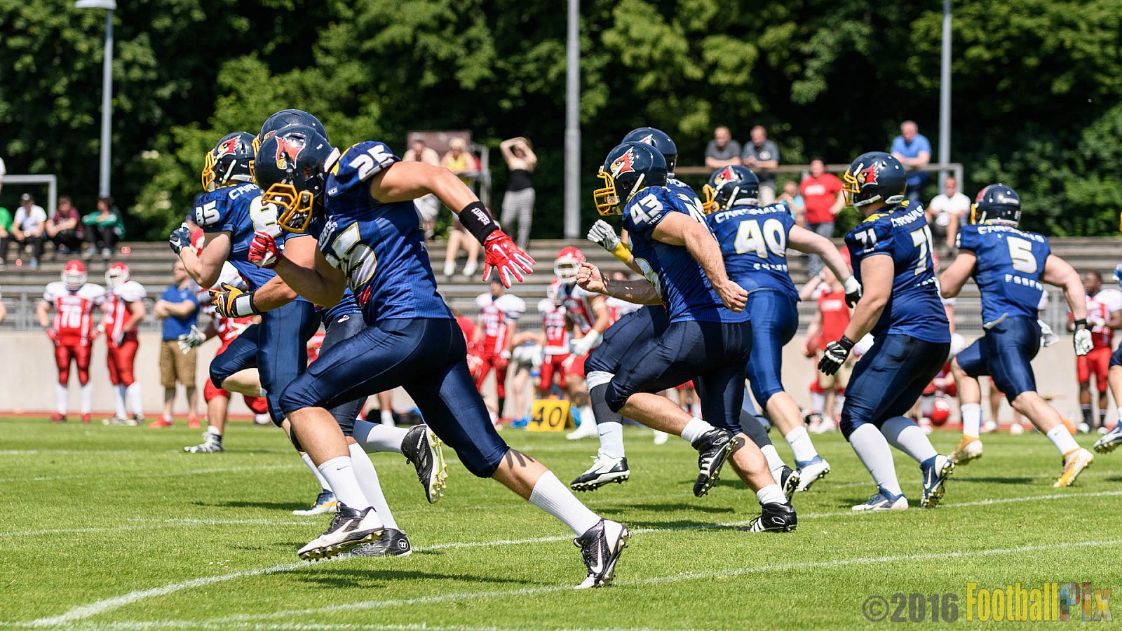 Essen Assindia Cardinals vs. Lübeck Cougars - 05.06.2016 GFL2: Essen Assindia Cardinals vs. Lübeck Cougars (16:35)