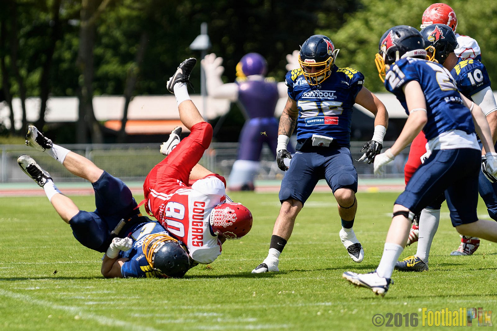 Essen Assindia Cardinals vs. Lübeck Cougars - 05.06.2016 GFL2: Essen Assindia Cardinals vs. Lübeck Cougars (16:35)