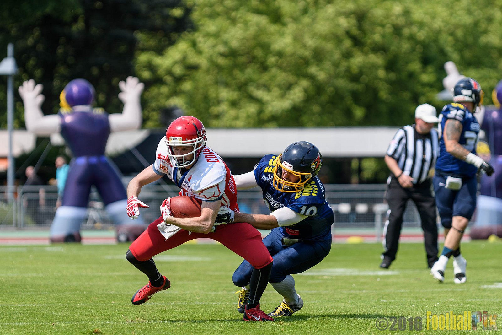 Essen Assindia Cardinals vs. Lübeck Cougars - 05.06.2016 GFL2: Essen Assindia Cardinals vs. Lübeck Cougars (16:35)