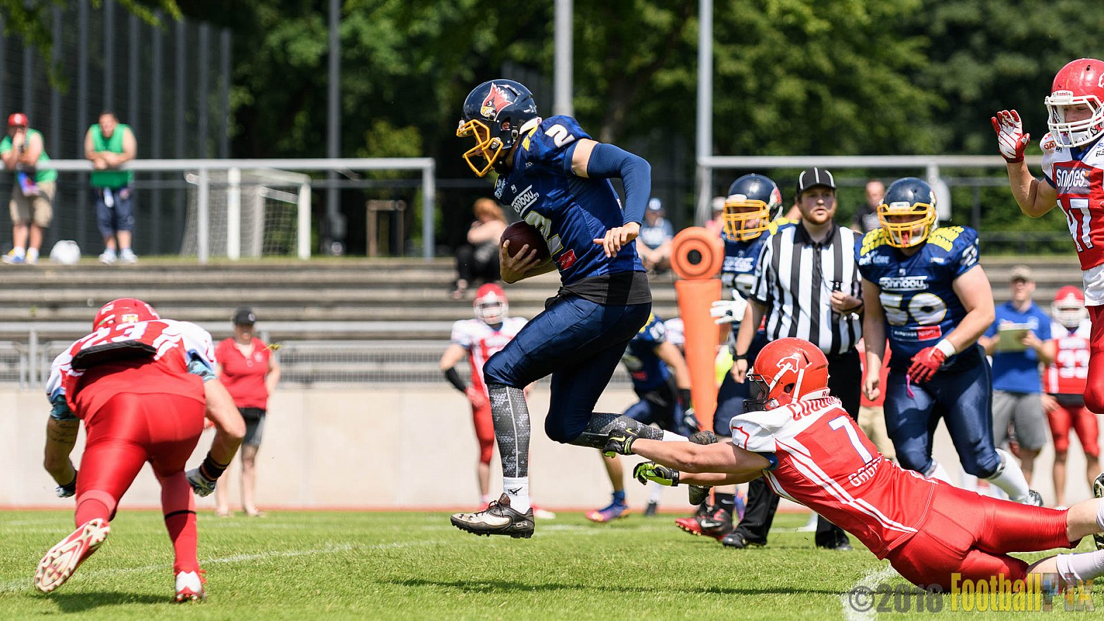 Essen Assindia Cardinals vs. Lübeck Cougars - 05.06.2016 GFL2: Essen Assindia Cardinals vs. Lübeck Cougars (16:35)
