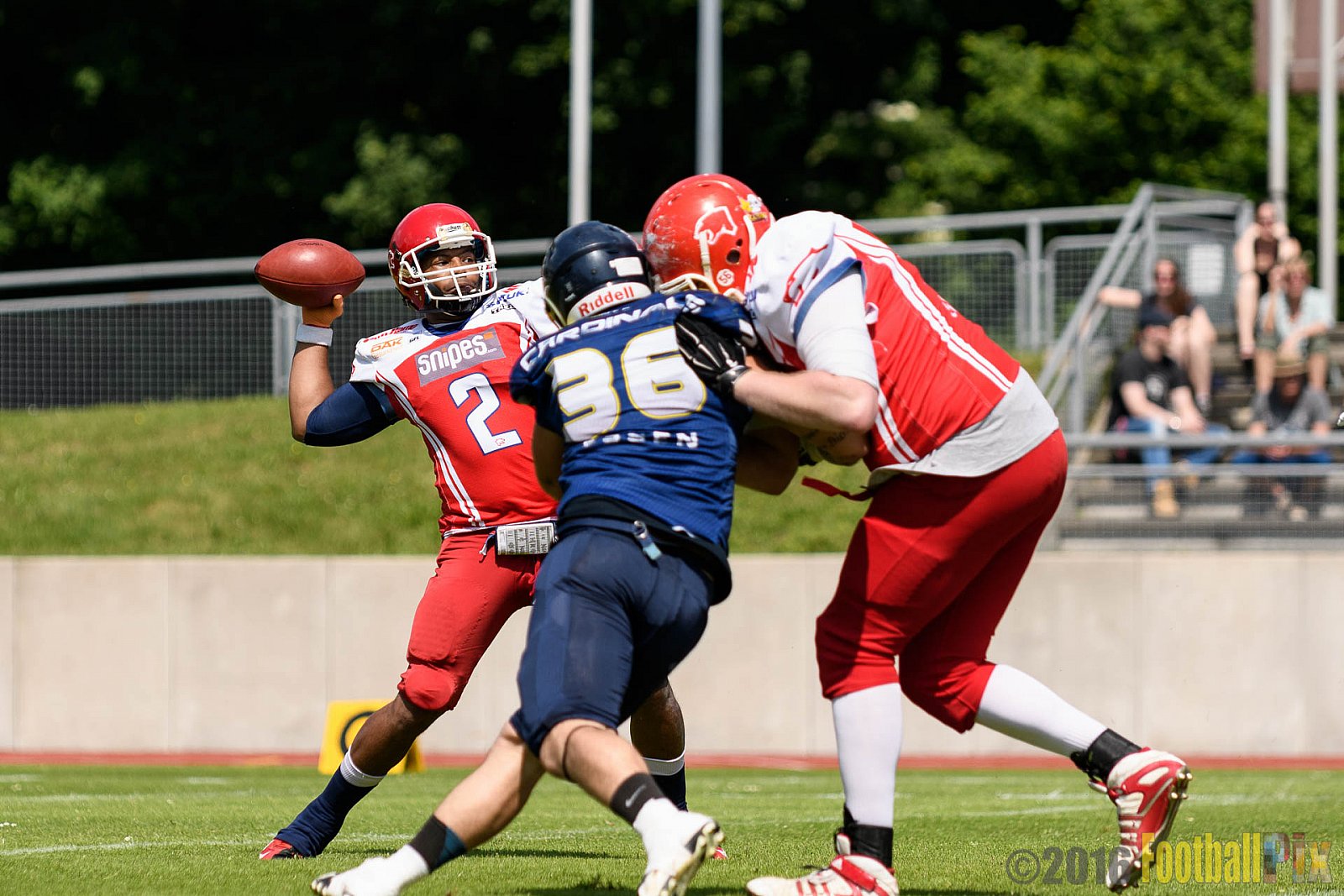Essen Assindia Cardinals vs. Lübeck Cougars - 05.06.2016 GFL2: Essen Assindia Cardinals vs. Lübeck Cougars (16:35)