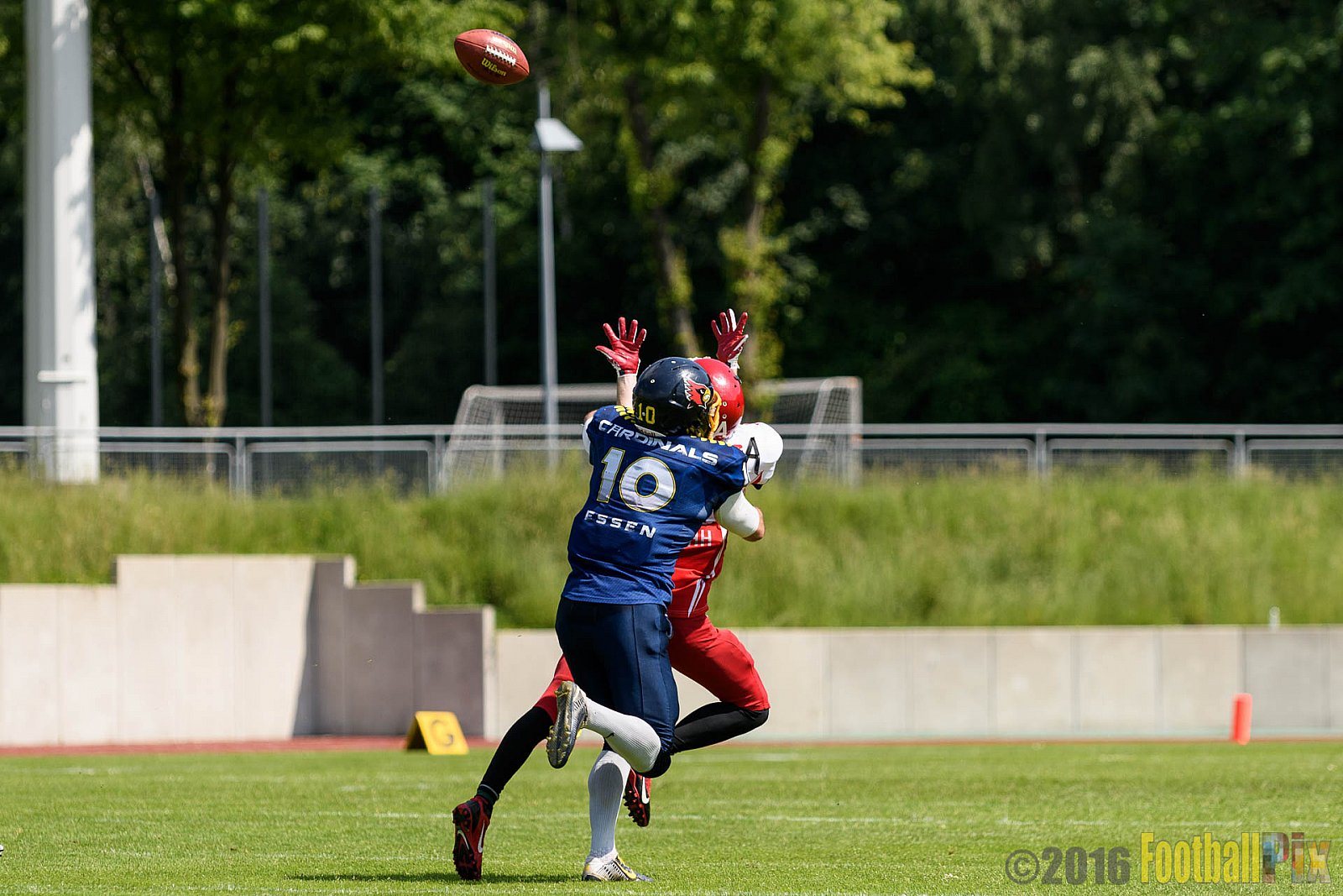 Essen Assindia Cardinals vs. Lübeck Cougars - 05.06.2016 GFL2: Essen Assindia Cardinals vs. Lübeck Cougars (16:35)