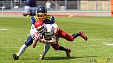 Essen Assindia Cardinals vs. Lübeck Cougars - 05.06.2016 GFL2: Essen Assindia Cardinals vs. Lübeck Cougars (16:35)
