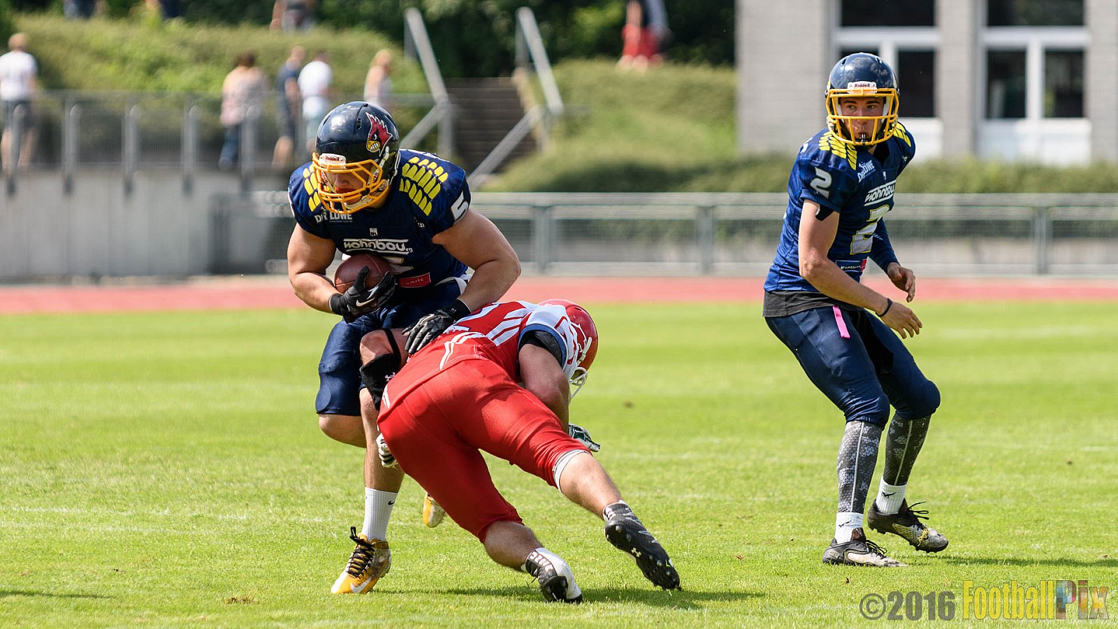 Essen Assindia Cardinals vs. Lübeck Cougars - 05.06.2016 GFL2: Essen Assindia Cardinals vs. Lübeck Cougars (16:35)