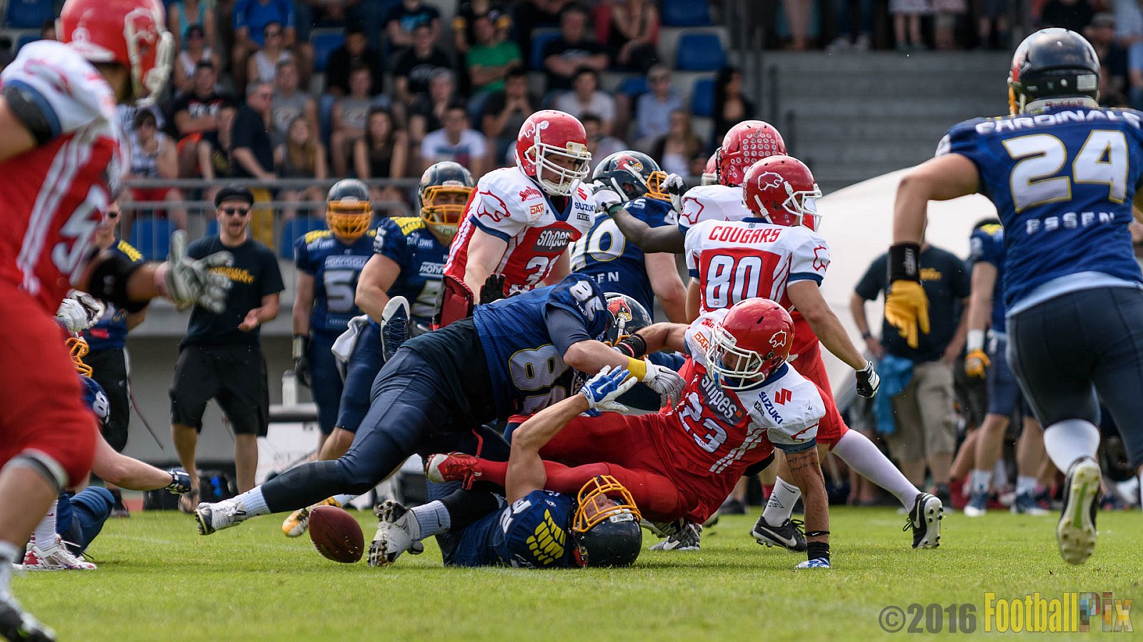 Essen Assindia Cardinals vs. Lübeck Cougars - 05.06.2016 GFL2: Essen Assindia Cardinals vs. Lübeck Cougars (16:35)