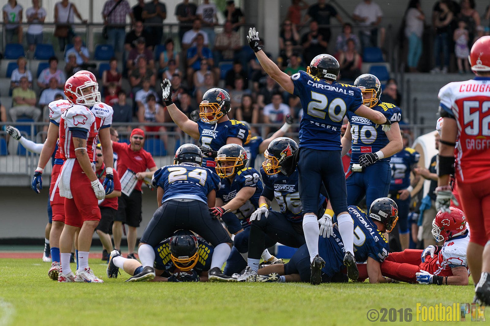 Essen Assindia Cardinals vs. Lübeck Cougars - 05.06.2016 GFL2: Essen Assindia Cardinals vs. Lübeck Cougars (16:35)