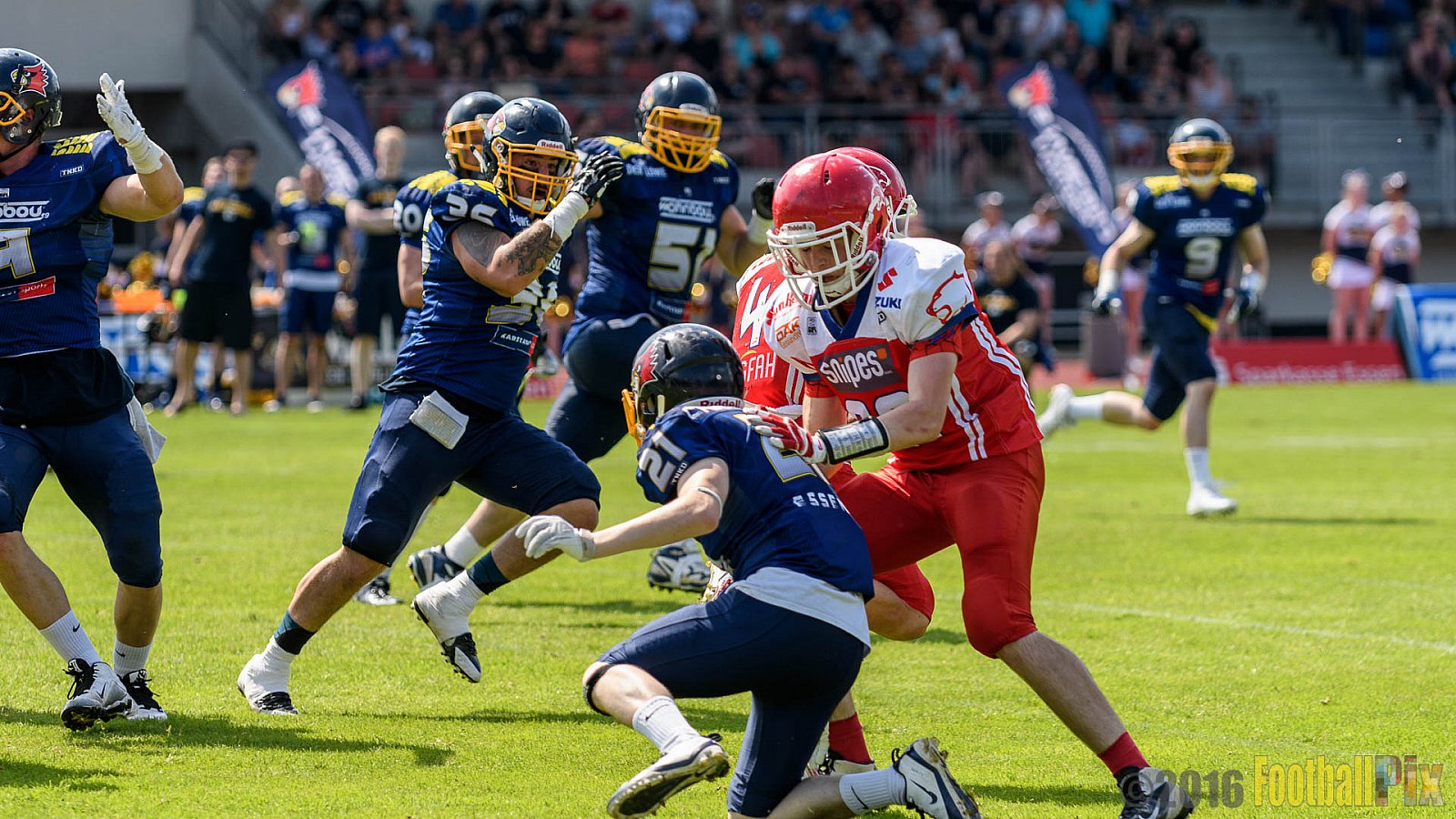 Essen Assindia Cardinals vs. Lübeck Cougars - 05.06.2016 GFL2: Essen Assindia Cardinals vs. Lübeck Cougars (16:35)