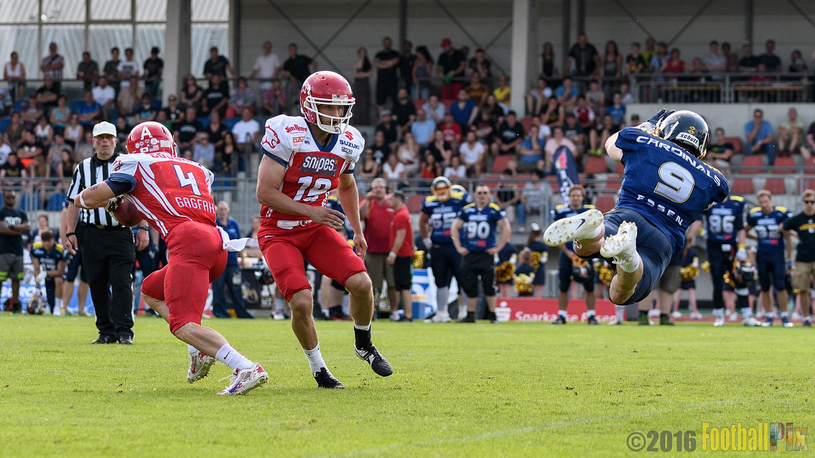 Essen Assindia Cardinals vs. Lübeck Cougars - 05.06.2016 GFL2: Essen Assindia Cardinals vs. Lübeck Cougars (16:35)