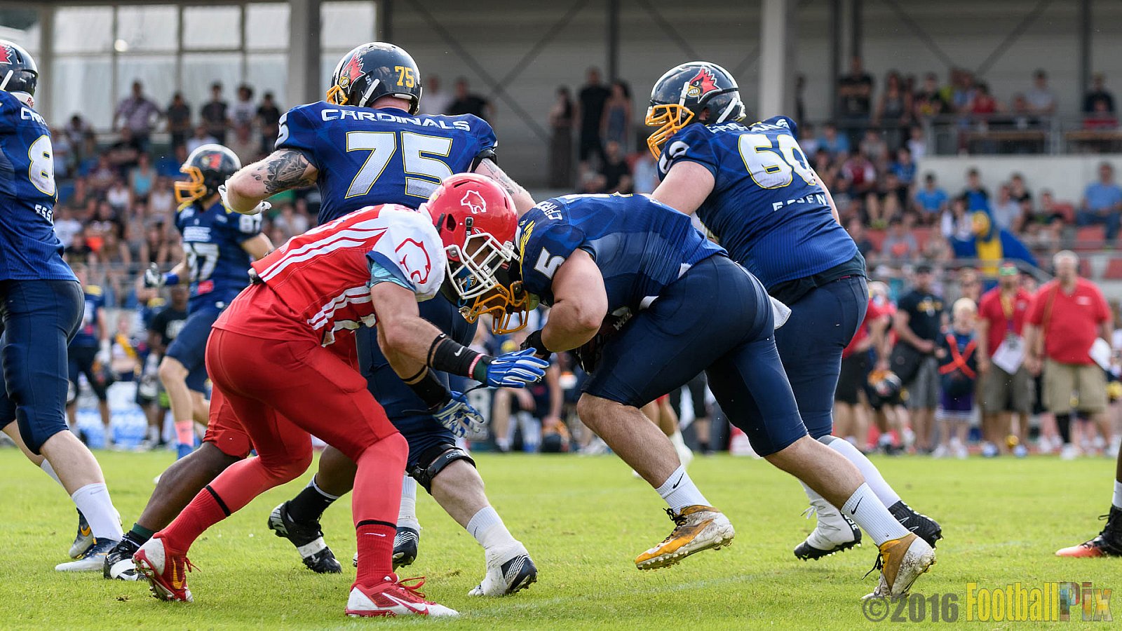Essen Assindia Cardinals vs. Lübeck Cougars - 05.06.2016 GFL2: Essen Assindia Cardinals vs. Lübeck Cougars (16:35)