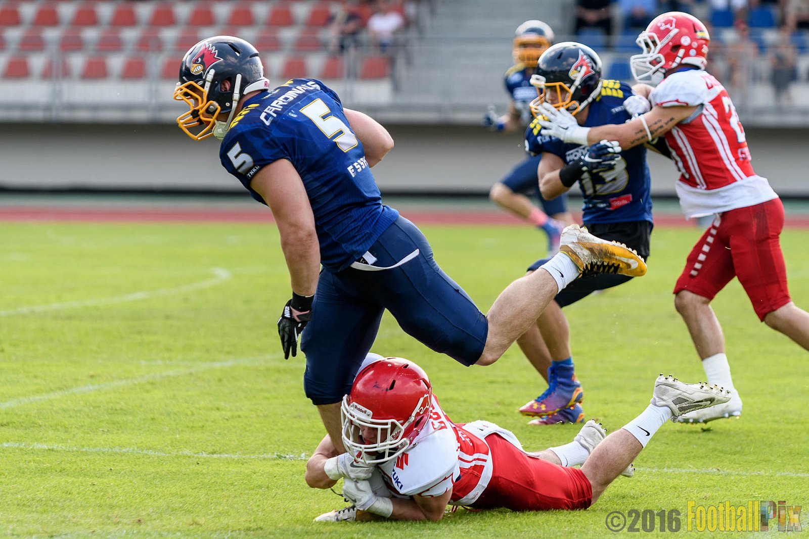 Essen Assindia Cardinals vs. Lübeck Cougars - 05.06.2016 GFL2: Essen Assindia Cardinals vs. Lübeck Cougars (16:35)